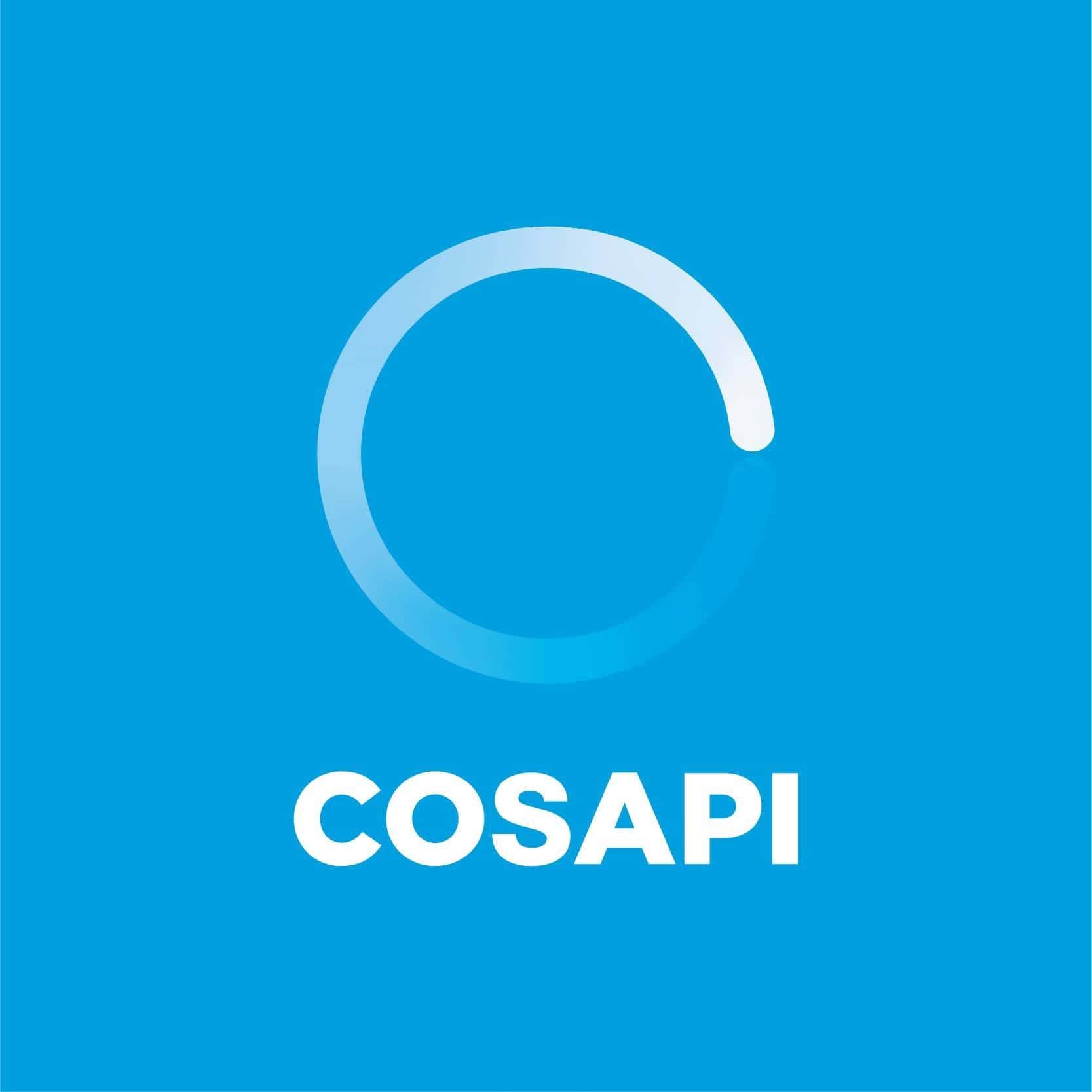 Cosapi S.A.